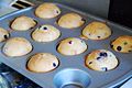 Blueberry muffin.jpg
