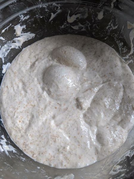 File:Sourdough dough 2019.jpeg